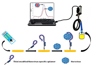 Environmental and Clinical Biosensors – Cremco