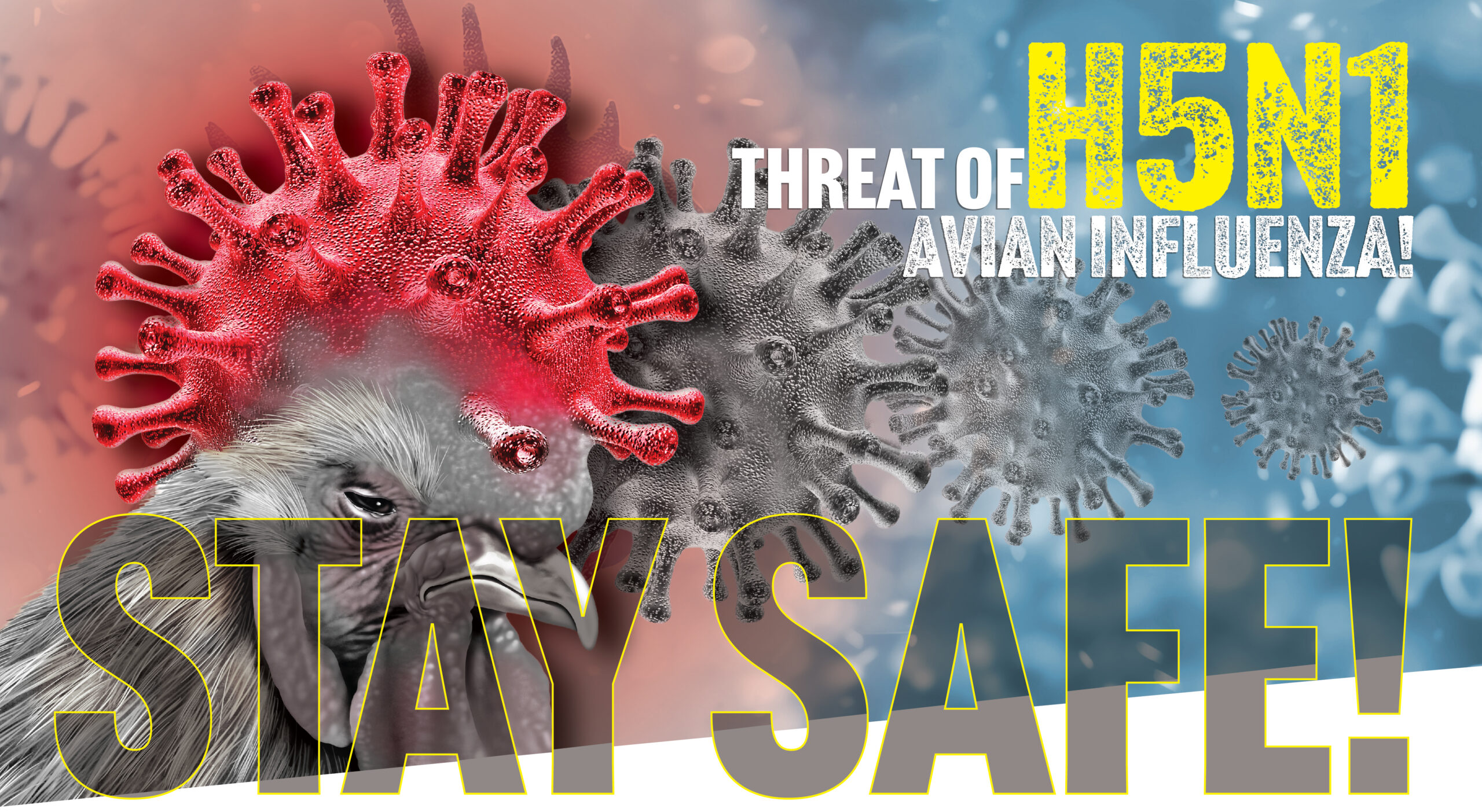 Avian Influenza A (H5N1) Virus