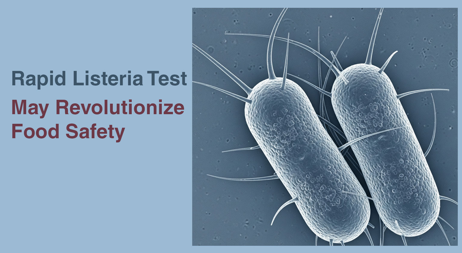 Faster Detection Method for Listeria Monocytogenes