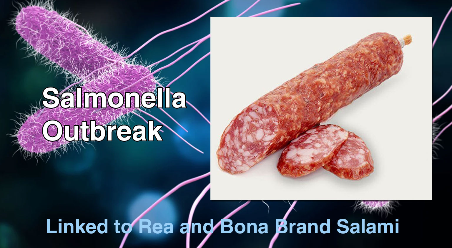 New Salmonella Outbreak