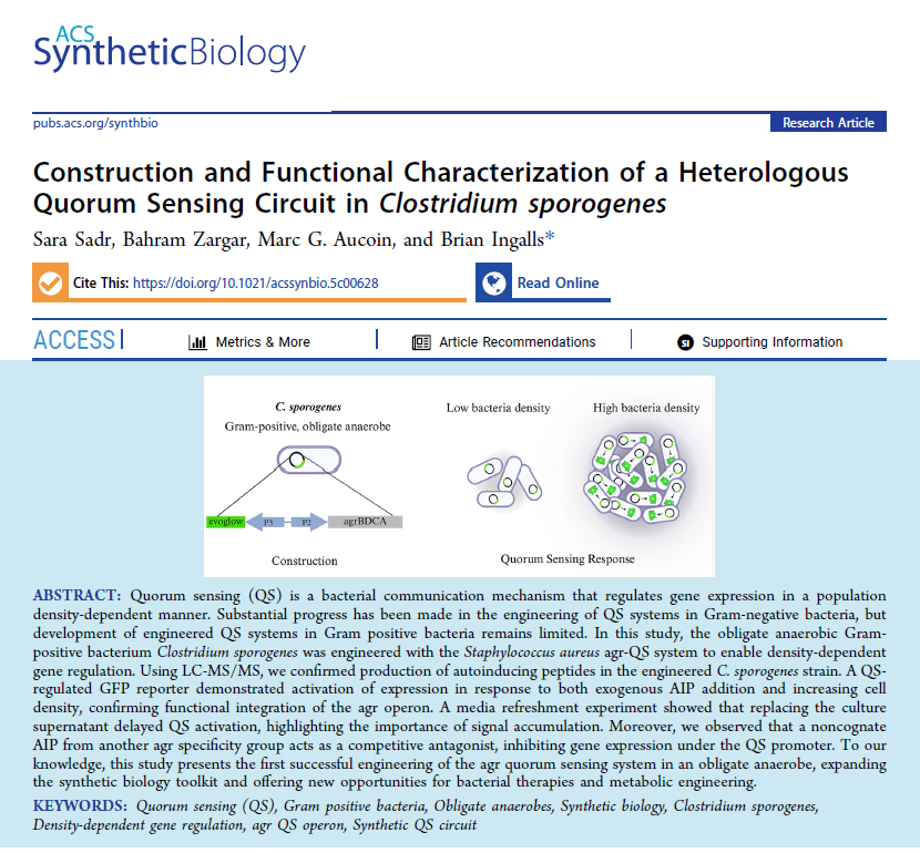 Publication in ACS Synthetic Biology