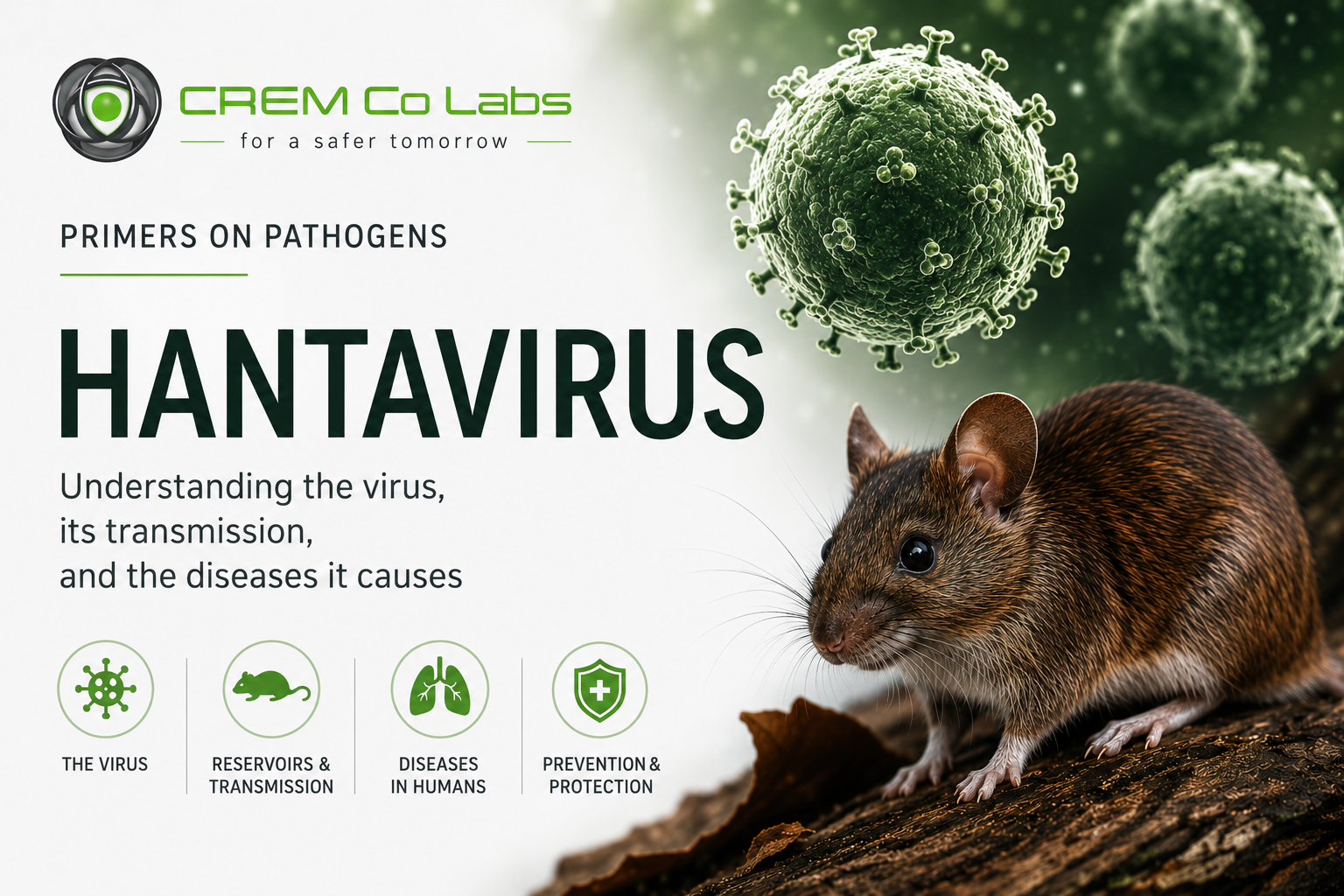 Hantavirus