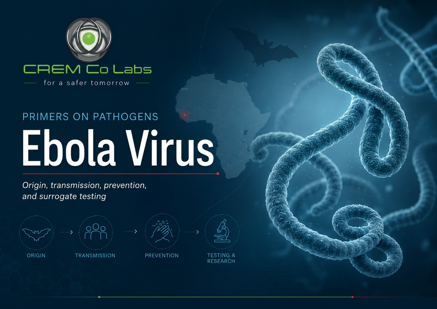Ebola Virus: Origin, Structure, Transmission, Prevention, and Surrogate Testing